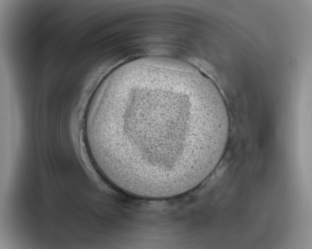 X0000086930097200705141750