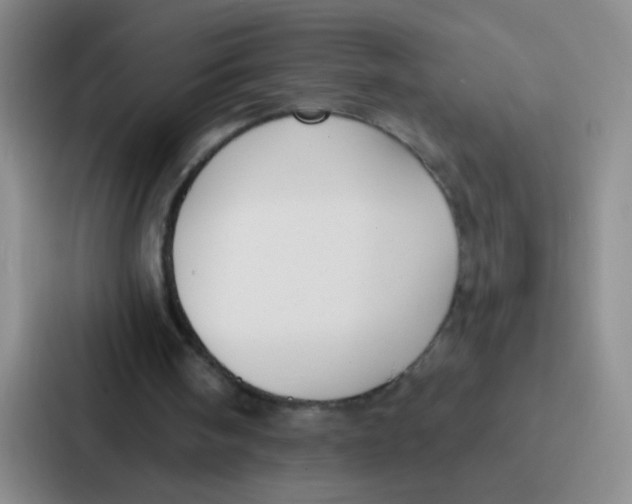 X0000086930098200705141750