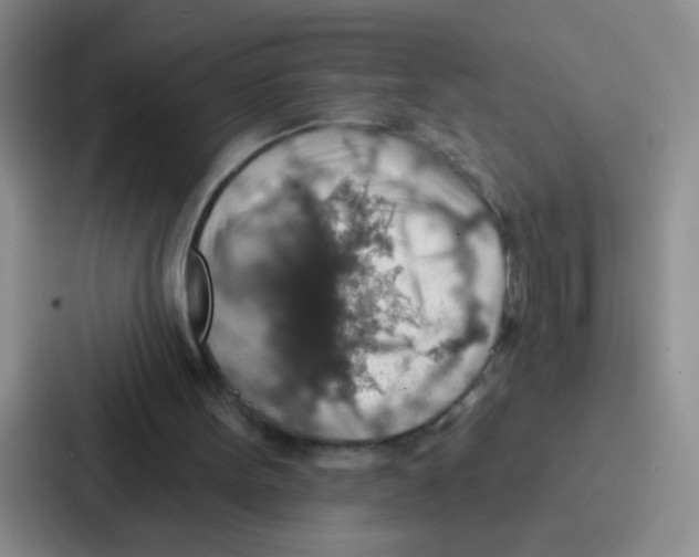 X0000086930099200705141750