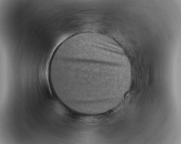 X0000086930100200705141750