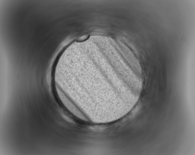 X0000086930102200705141750