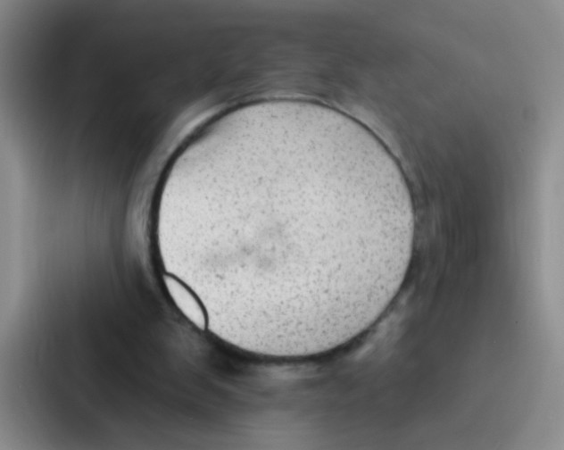 X0000086930103200705141750