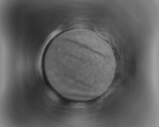 X0000086930104200705141750