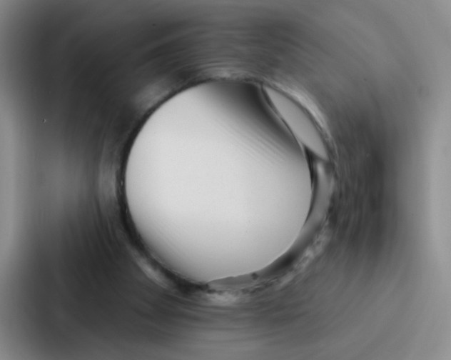 X0000086930105200705141750