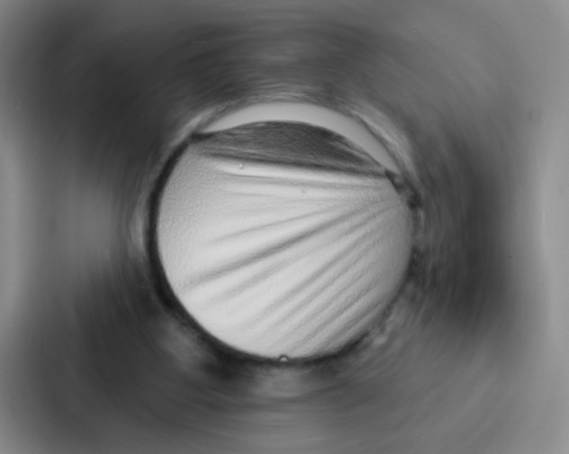 X0000086930107200705141750