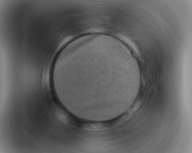 X0000086930108200705141750