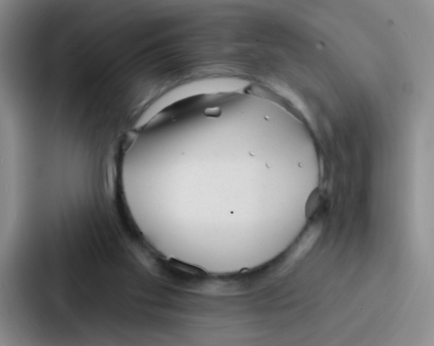 X0000086930109200705141750