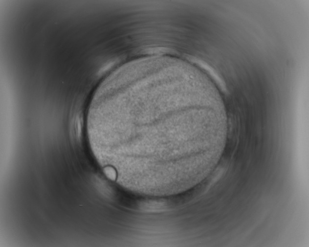 X0000086930110200705141750