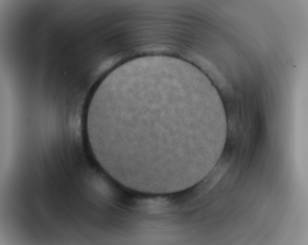 X0000086930112200705141750