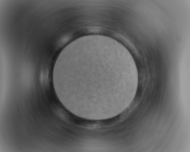 X0000086930116200705141750