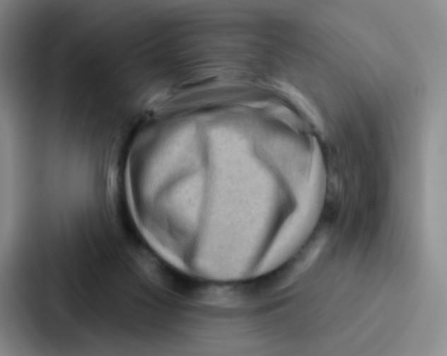 X0000086930117200705141750