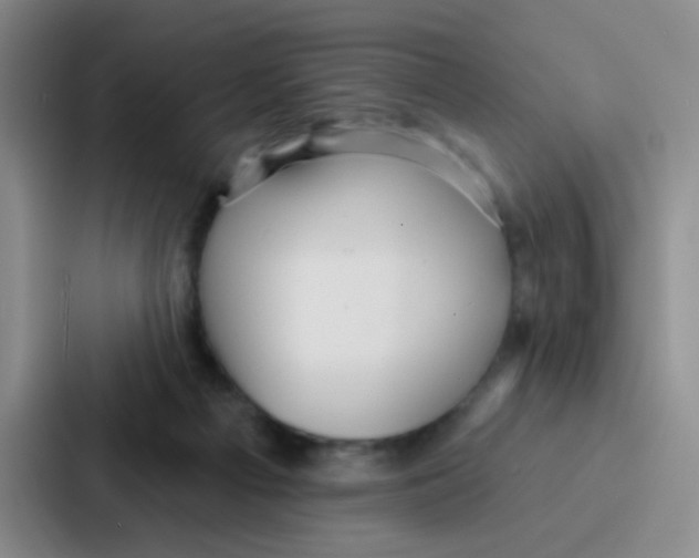 X0000086930121200705141750