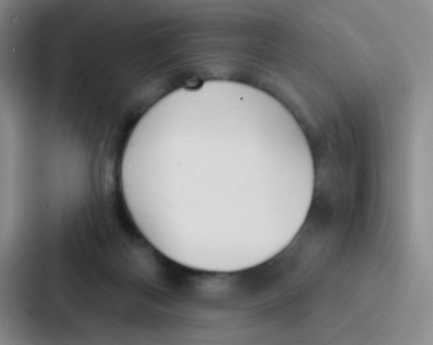 X0000086930122200705141750