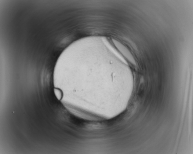 X0000086930123200705141750