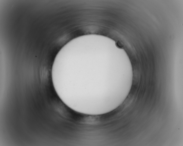 X0000086930126200705141750