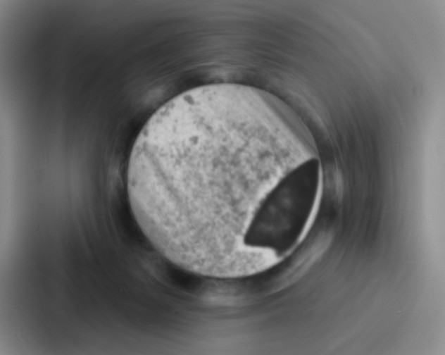 X0000086930127200705141750