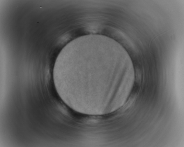 X0000086930128200705141750