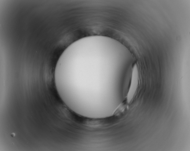 X0000086930129200705141750