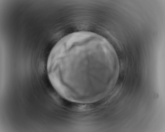 X0000086930130200705141750