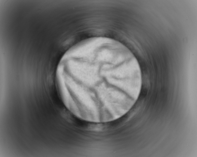 X0000086930131200705141750