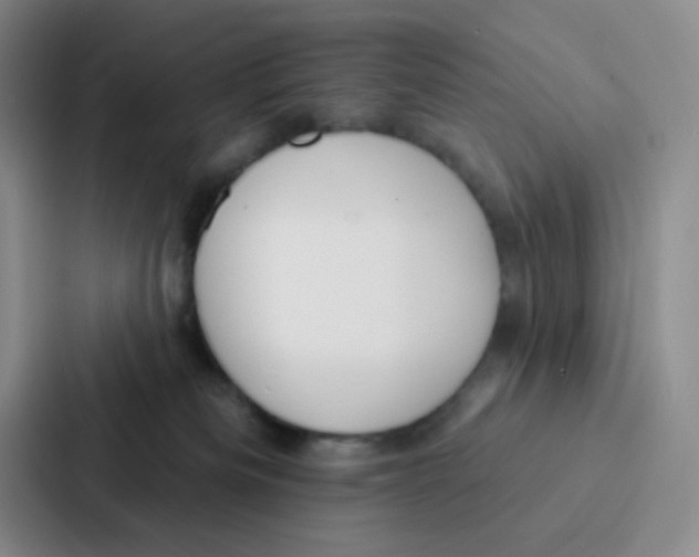 X0000086930133200705141750