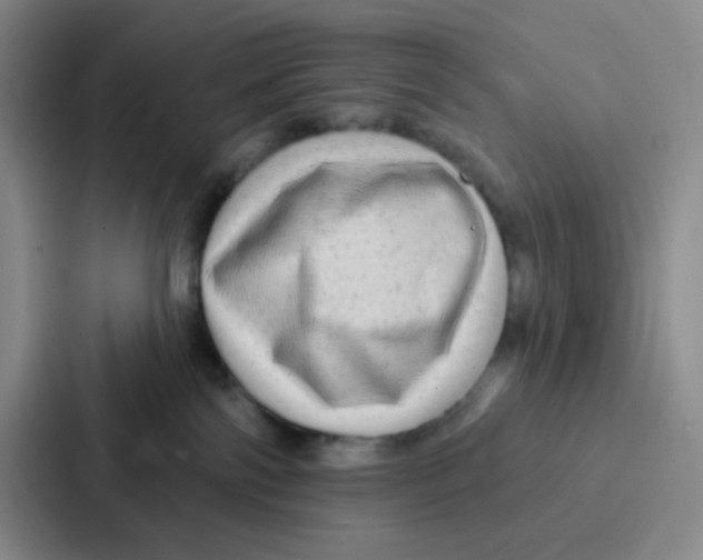 X0000086930138200705141750