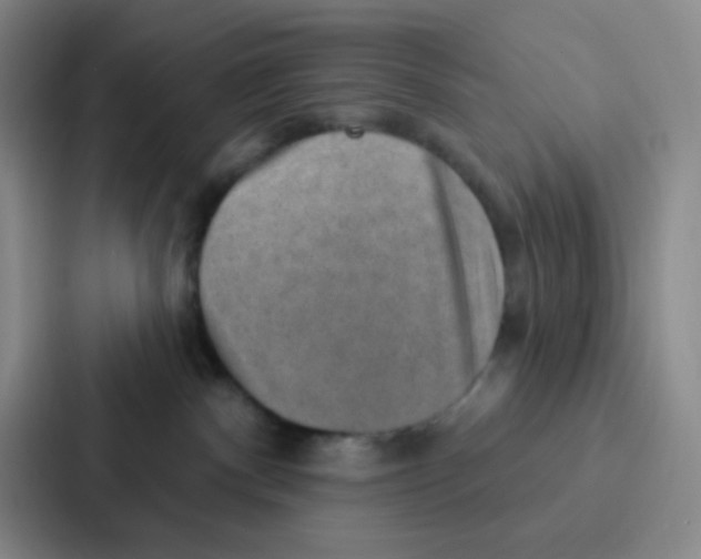 X0000086930140200705141750