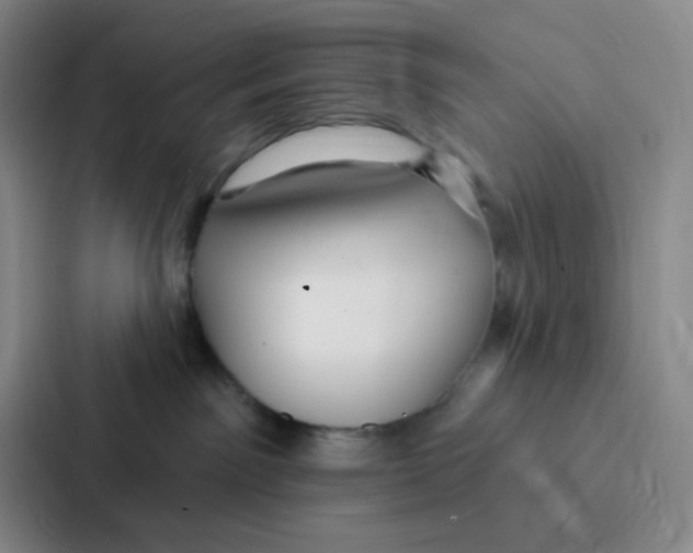 X0000086930141200705141750