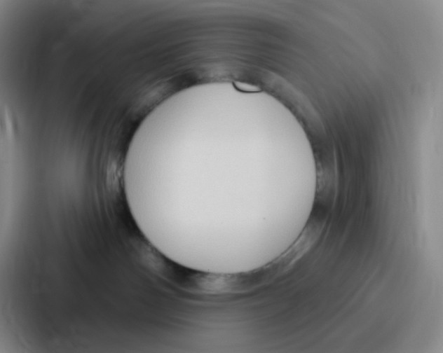 X0000086930142200705141750