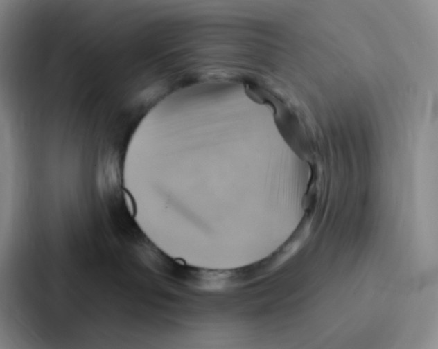 X0000086930143200705141750