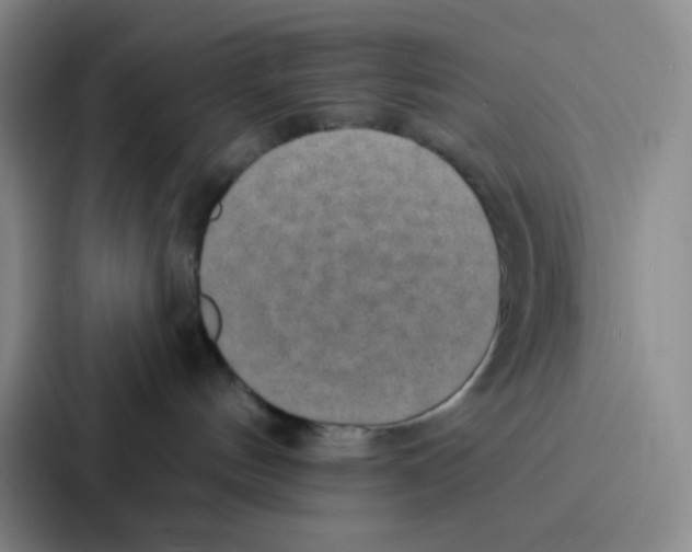 X0000086930144200705141750