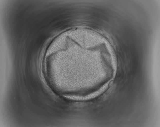 X0000086930145200705141749