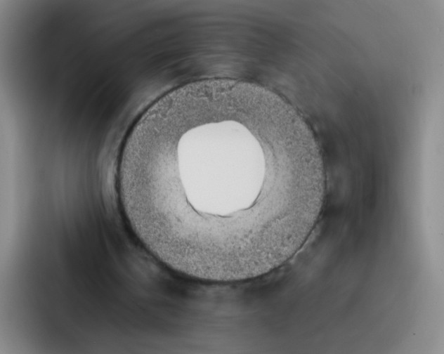 X0000086930146200705141749