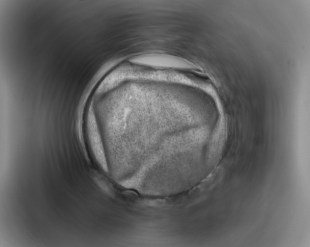 X0000086930147200705141749