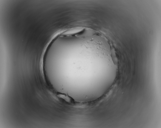 X0000086930148200705141749