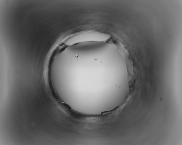 X0000086930150200705141749