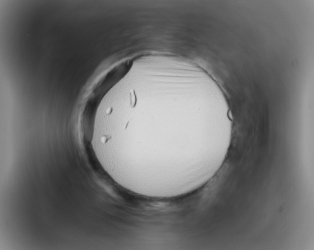 X0000086930151200705141749