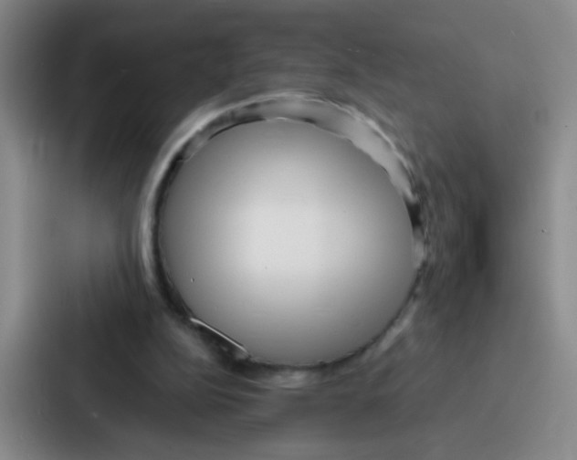 X0000086930152200705141749