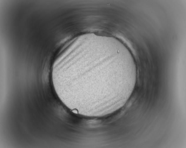 X0000086930153200705141749