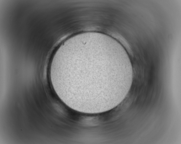 X0000086930155200705141749