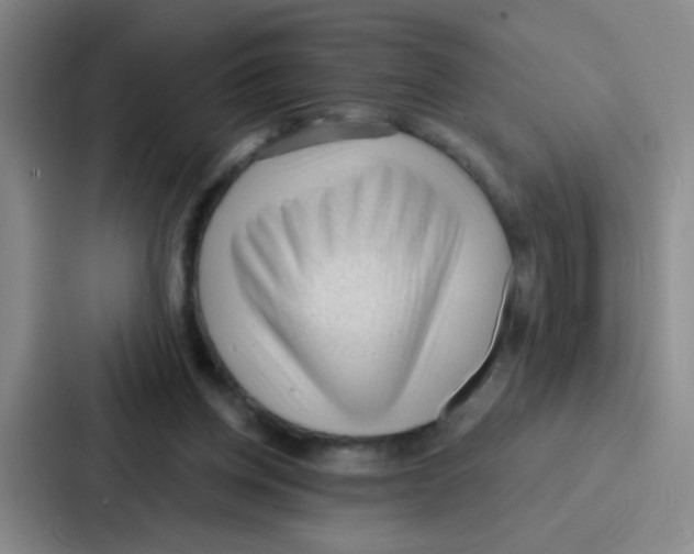 X0000086930158200705141749