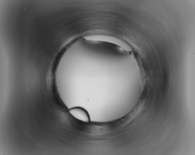 X0000086930160200705141749