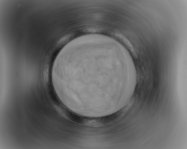 X0000086930163200705141749