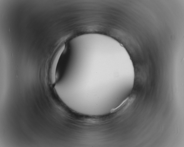 X0000086930164200705141749