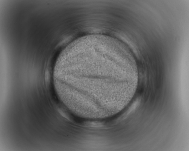 X0000086930165200705141749