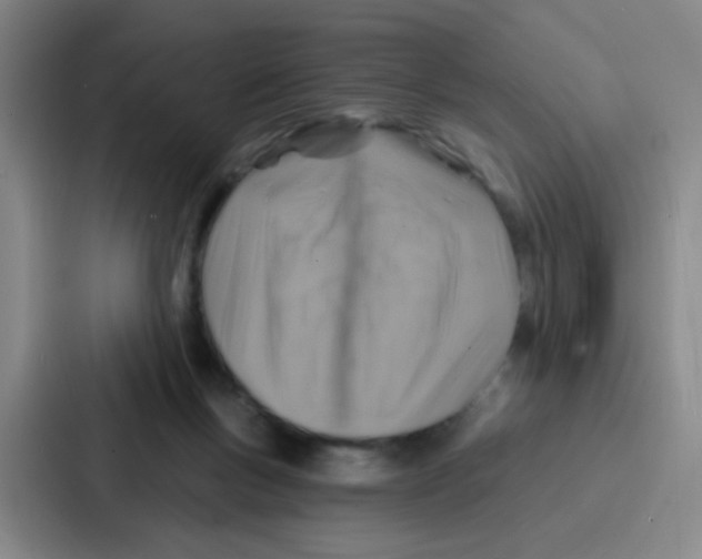 X0000086930167200705141749