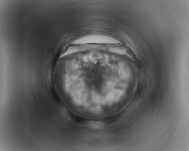 X0000086930169200705141749