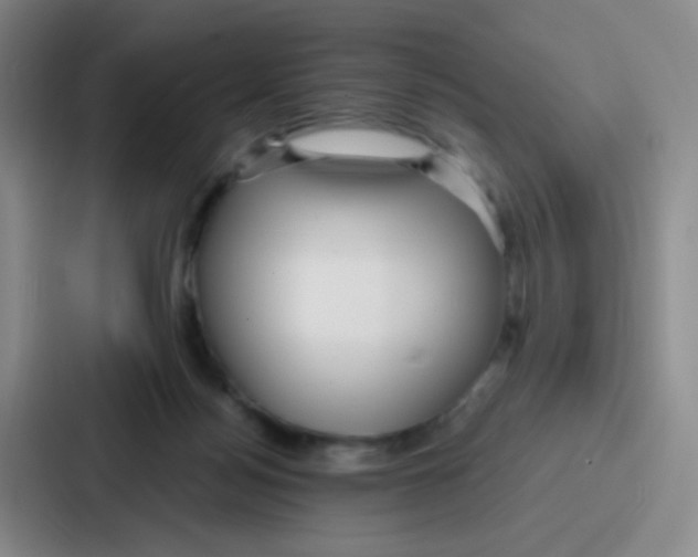 X0000086930172200705141749