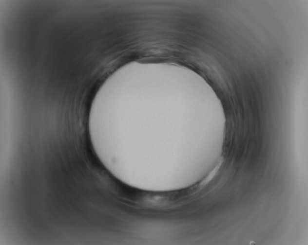 X0000086930174200705141749