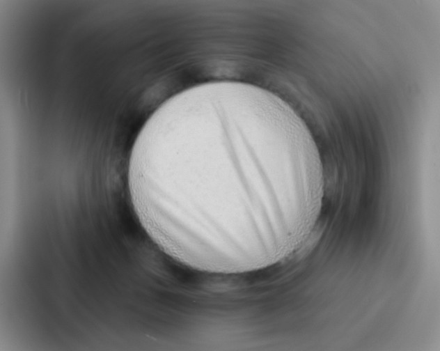 X0000086930175200705141749